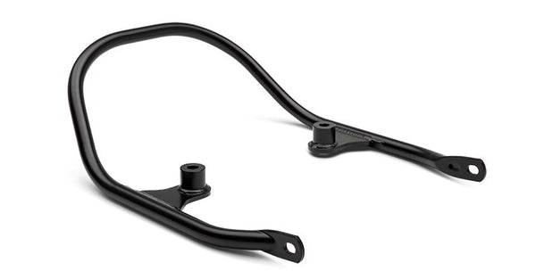 Kawasaki Z650RS Passenger Grab Bar